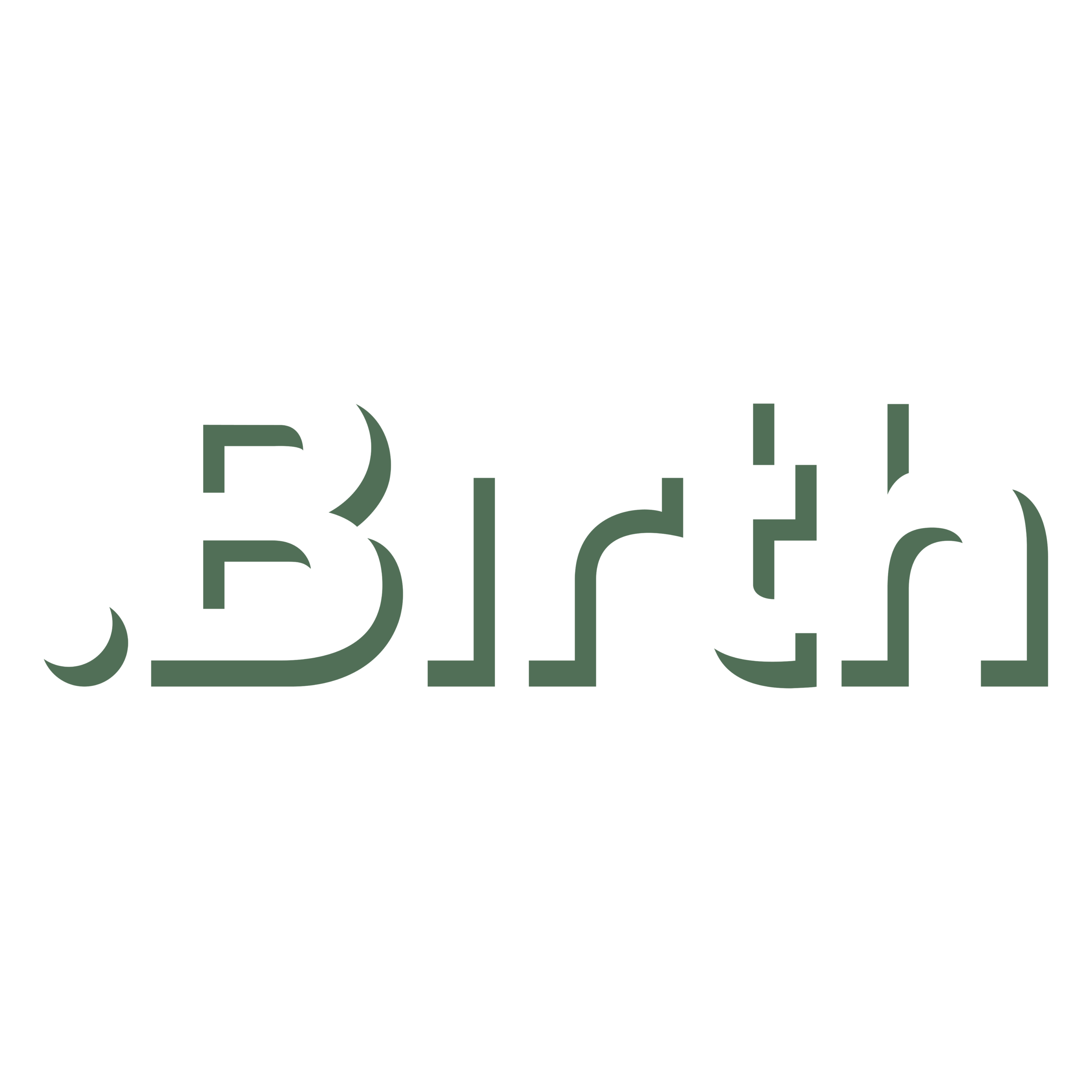 Dot Birth Software